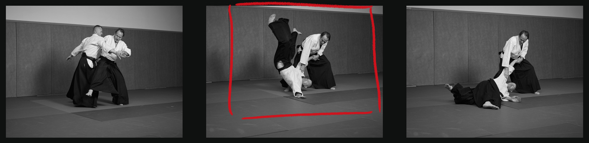 Aikido_Planche8348v2_web2K